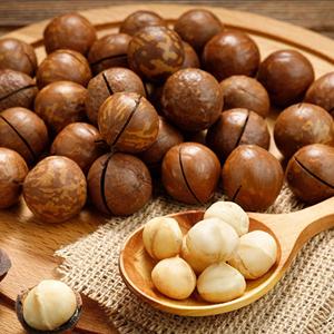 High Quality Organic Dried <b>Macadamia</b> <b>Nuts</b> in Large Volume Fast Delivery Best Price-Direct From Austria Origin Raw for Food Use - Product Image 1