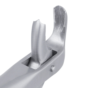 Pinzas de Extracción Dentales Quirúrgicas para Molares Inferiores Serrados 73, Instrumento de Cirugía Oral de Acero Inoxidable - Product Image 6