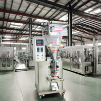 Machine d'emballage électrique avancée à double tête, haute précision, avec pompe à engrenages à roulement motorisé, pour peser et remplir des produits en poudre (snacks, produits chimiques)