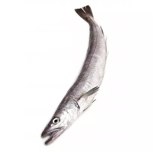 Pescado Entero Congelado Fresco de Caballa, Filete de Caballa Congelado - Product Image 4