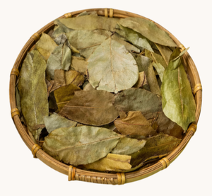 Hojas de guanábana secas premium de Vietnam, hojas de graviola naturales, producto vegano de calidad alimentaria, cosechado en la naturaleza, producto seco limpio. - Product Image 2