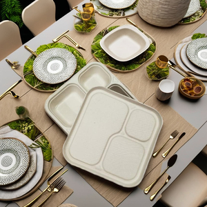 ถาดอาหารแบกาสส์แบบสามช่อง 750 มล. เป็นมิตรกับสิ่งแวดล้อม ย่อยสลายได้ พร้อมฝาปิด สำหรับเด็ก - Product Image 3