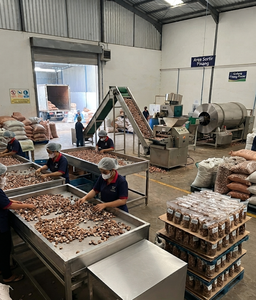 Noci di <span class=keywords><strong>Betel</strong></span> Essiccate Pure 1 Kg Confezione Conveniente per il Consumatore Noci di Areca Premium Selezionate Direttamente dall'Origine - Product Image 6