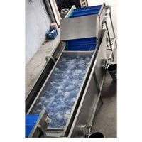 Commerciële groente- en fruitwasmachine motor milieuvriendelijke hoogwaardige roestvrijstalen bubbelwasser maïs noten tarwe Sri Brothers