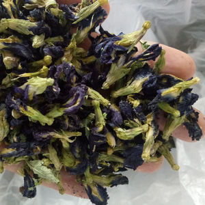 EXPAD Vietnam - Polvo de Té de Flor de Mariposa Cruda Natural a Granel para la Venta - Product Image 4