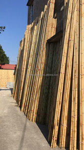 Poste de Bambú Natural Resistente de 4-10 m de Longitud y 3-10 cm de Diámetro para Construcción, Jardinería, Soporte de Plantas, Cercas y Decoración - Product Image 6