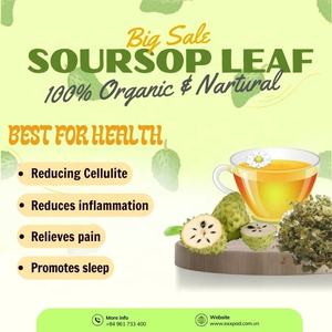 Thé aux feuilles de corossol premium pour infusion - Product Image 3