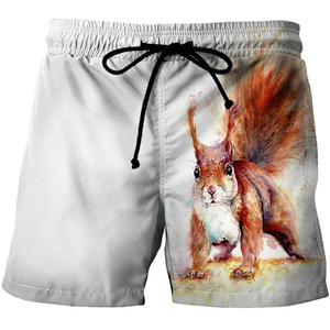 Funny Kung Fu Chicken Pattern Beach Shorts Summer Fashion <b>Mens</b> Kids 3D Animals Printed Board Short Casual Oversized Swim <b>Trunks</b> - Product Image 4