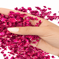 Pétales de rose naturels séchés, roses de qualité supérieure, durée de conservation de 12 mois, rouge premium, cosmétiques, thé, artisanat, pot-pourri, fabricant, vente en gros