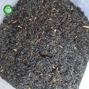 Carbón de Cáscara de Arroz Premium – Combustión Limpia, Bajo en Humo – Combustible Sostenible para Uso Industrial y Doméstico – Origen Vietnam - Product Image 6