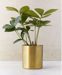 Juego de 2 Macetas Redondas de Metal Dorado para Suculentas de Interior, Diseño Moderno de Axiom Home Accents, Macetas Decorativas para Escritorio - Product Image 2