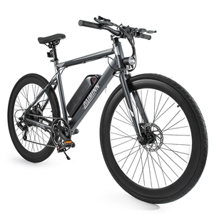 Bicicleta de Montaña con Asistencia Eléctrica, Neumáticos 700*35C, Cuadro de Aleación de Aluminio, Motor sin Escobillas, Batería de Litio de 36V 10AH, 21 Velocidades - Product Image 2