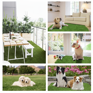 Alfombra de Césped Artificial Portátil TH-PAG-555 para Perros, Proporciona una Zona de Entrenamiento Sanitario Suave e Higiénica, Apta para Uso en Apartamentos - Product Image 5