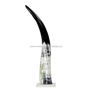 Cuernos de Vaca Pulidos de Primera Calidad, Decoración Artesanal de Estilo Rústico Occidental - Product Image 5