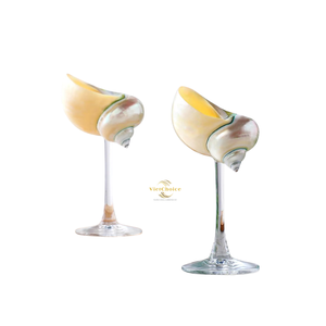 Precio al por mayor Vietchoice: Vaso de concha de lujo ecológico hecho a mano, vajilla natural para vino, hecho en Vietnam 2026 Phoebe - Product Image 2