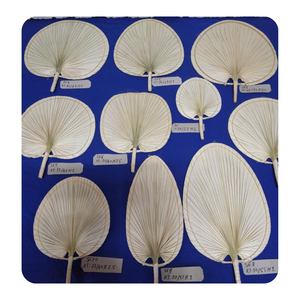 Abanico Tradicional Hecho a Mano con Hojas de Palma Natural de Vietnam |   Artesanía Vietnamita Pintada Ecológica para Halloween - Product Image 2