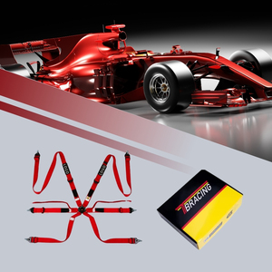 Distribuidor de Marca OEM ODM, Cinturón de Seguridad de Carreras Profesional de 6 Puntos TBRACING FIA 8853-2016, Logotipo Personalizado al por Mayor, Cinta Fluorescente - Product Image 3