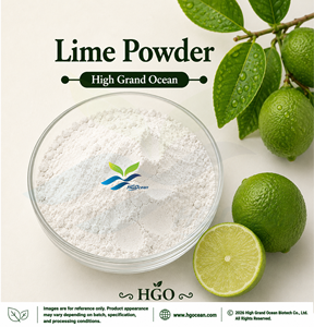 HGO Factory Direct Supply of Pure Natural <b>Lime</b> Powder (Food Grade) Fruit powder Spray Drying or Freeze-<b>dried</b> <b>Lime</b> Powder - Product Image 1