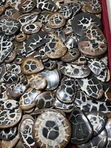Venta al por mayor de gemas sueltas de septariano negro natural de alta calidad, cabujones de formas variadas, lote único para la creación de joyas. - Product Image 2