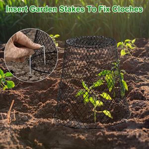 Confezione da 10 Cloche in Rete Metallica per Piante 23,5x23,5 cm - Gabbie da Giardino in Metallo con 30 Picchetti, 20 Etichette e Protezione Rinforzata - Product Image 3