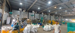 โรงงานแปรรูปเม็ดมะม่วงหิมพานต์ TTQ กำลังการผลิต 5-100 ตัน/วัน สายการผลิตเม็ดมะม่วงหิมพานต์ดิบอัตโนมัติสำหรับการผลิตเม็ดขาวเกรดอาหาร ผลิตจากสแตนเลส ผู้ผลิตจากเวียดนาม - Product Image 6