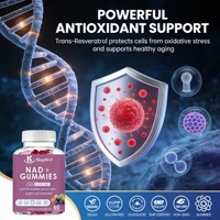 Gummies véganes NAD Resvératrol de qualité alimentaire en gros (OEM/ODM) – 1500 unités par portion – Antioxydant qui soutient la santé cellulaire