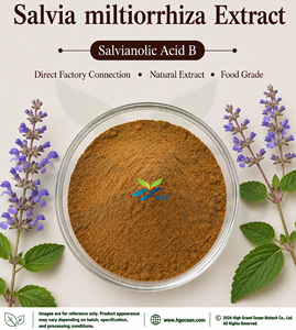 Suministro directo de fábrica HGO de extracto de Salvia miltiorrhiza natural puro (grado alimenticio saludable) Especificación ácido salvianólico B 25% - Product Image 1