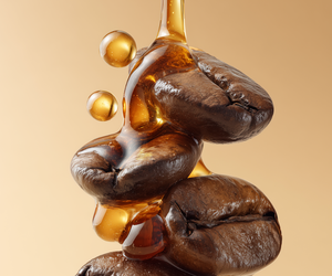 Extracto de Café Arábica (CF-0201) Van Aroma - Product Image 1