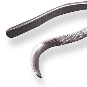 Forceps d'extraction dentaire # 85 Molaire supérieure et prémolaire manuels en acier inoxydable pour extraction dentaire chirurgicale professionnelle - Product Image 5