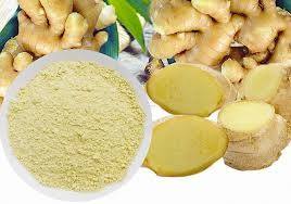 POUDRE DE GINGEMBRE PREMIUM DU VIETNAM, ÉPICE NATURELLE POUR LA CUISSON, LES BOISSONS À BASE DE PLANTES ET LE TRAITEMENT DES ALIMENTS |   Mme Lily Ngo - Product Image 3