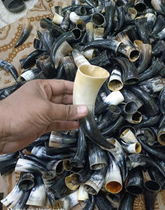 Cuerno para Beber OX Pequeño de la Mejor Calidad 100%, Utensilio Medieval para Beber, Regalo de Herencia, Cuerno Blanco Corto Pulido a Precio de Mayoreo - Product Image 4