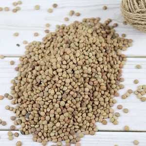 Lentejas Rojas/Verdes/Amarillas Enteras, 100% Naturales y Orgánicas, de la Mejor Calidad, Secas, a Granel, 25 kg, Marca TZ453G, Chana Dal para Uso Alimentario - Product Image 6