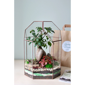 Terrario de Vidrio Irregular Hecho a Mano, Geométrico, Negro, con Base de Cobre, para Plantas Aéreas, Decoración del Hogar - Product Image 3