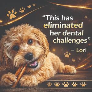 Barritas de Pene de Res Natural para Perros, Beneficios Dentales, Masticables de Larga Duración, Alto Contenido de Proteínas, Golosina Saludable para el Desarrollo Muscular, Suministro a Granel - Product Image 5