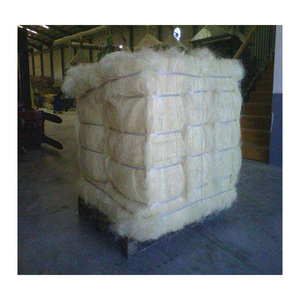 Fibre de sisal de qualité export pour les marcheurs en gros internationaux, les fabricants et les entreprises de transformation des fibres naturelles - Product Image 3
