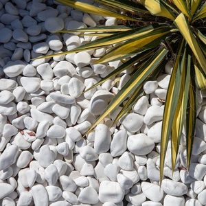 Fournisseur direct d'usine - Galets de marbre blanc lisse pour aquariums, terrariums, jardins zen et aménagement paysager décoratif - Product Image 5