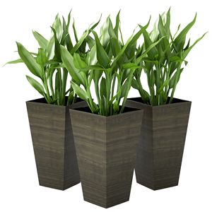 Set di 3 Fioriere Alte dal Design Moderno e Classico, Vasi da Esterno da 71 cm con Finitura in Finto Legno Marrone Scuro e Fori di Drenaggio - Product Image 1