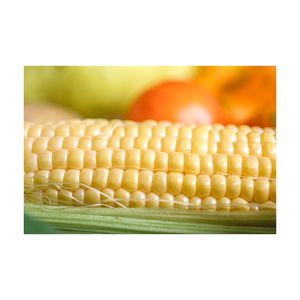 Maíz Amarillo, Alimento para Pollos, Precios de Alimento para Animales y Aves, Maíz Amarillo - Product Image 1