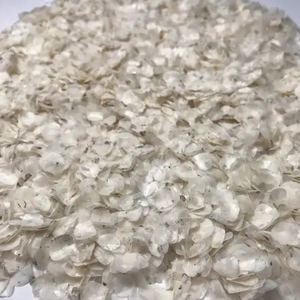 Escamas de Pescado Naturales Secas en Oferta, Escamas de Pescado Blanco Secas, Escamas de Pescado Tilapia - Product Image 3
