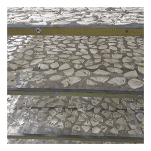 Soft Dried Soursop created from selected soursop <b>pulp</b> for snack consumption dessert making and food processing Vietnam - Product Image 4