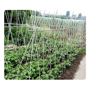 Gardening Garden Aids,plant Support FRP Stakes - Product Image 3