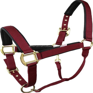 Halter de nailon Borgoña ajustable con relleno de neopreno suave, hebilla de latón pesado y anillos, todos los tamaños, venta al por mayor - Product Image 1