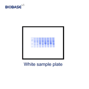 Système d'analyse d'imagerie de gels automatique BIOBASE à bon prix BK-AG100, machine de documentation de gels CCD haute résolution pour laboratoire - Product Image 6