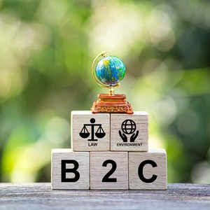 Plataforma de Comercio Electrónico B2B y B2C Avanzada, Servicios POC en USD, Construcción Rápida de Plataformas de Tiendas Multicanal Personalizadas - Product Image 6