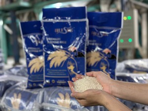 ข้าวหอมมะลิเมล็ดยาว ข้าวขาวเมล็ดแห้ง สำหรับบริการอาหาร ค้าปลีก และส่งออก - Product Image 3