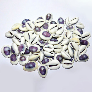 Factory <b>direct</b> price cowrie shells cowry seashells natural sea shell <b>beads</b> for crafting jewelry - Product Image 3