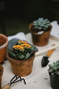 Pot de fleurs en fibre de coco biodégradable, écologique, style ferme vintage, pour semis et plantes vertes, personnalisé Ben Tre - Product Image 1