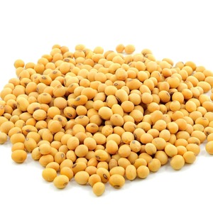 Soja entier naturel séché, soigneusement sélectionné pour une qualité propre, ingrédients pour l'alimentation animale et achat en gros - Product Image 4