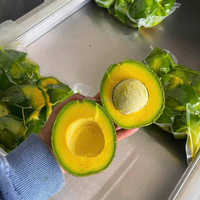 Vietnam IQF Diepvries Booth Avocado Hele Vacuümverpakking Groothandel Leverancier KMI Merk 1kg 24 Maanden Houdbaarheid
