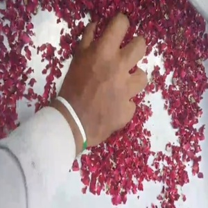 Pétales de roses rouges naturelles séchées King Roses pour pot-pourri, décorations de table pour mariages, artisanat de bougies, cadeaux pour occasions spéciales - Product Image 4